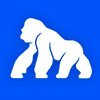 Ape Church gallery 2